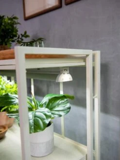 Oslo 2-Tier LED Grow Light Garden, 2 Fixtures -Plant Sale Shop 8609221 4101 tif