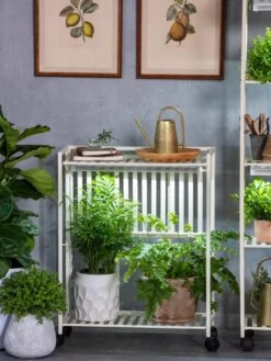 Oslo 2-Tier LED Grow Light Garden, 2 Fixtures -Plant Sale Shop 8609221 7236 tif