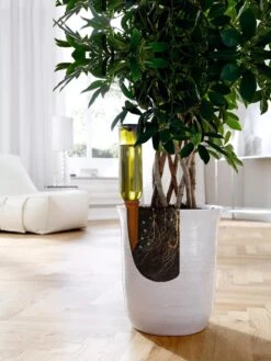 Hydro Wine Container Watering System, Set Of 4 -Plant Sale Shop 8609224 04V tif