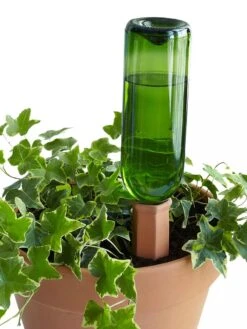 Hydro Wine Container Watering System, Set Of 4 -Plant Sale Shop 8609224 09V tif
