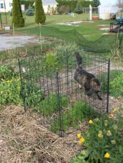 4 Panel Critter Fence