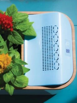 Dewplanter -Plant Sale Shop 8609512 Dewplanter