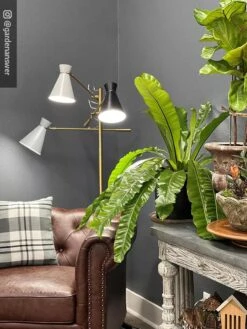 Adjustable 3-Arm Grow Lamp -Plant Sale Shop 8609868 01IN tif