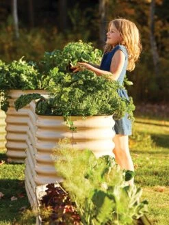 Birdies™ Modular Metal Raised Bed, Tall 11 Birdies™ Modular Metal Raised Bed, Tall -Plant Sale Shop 8610174 05010 tif