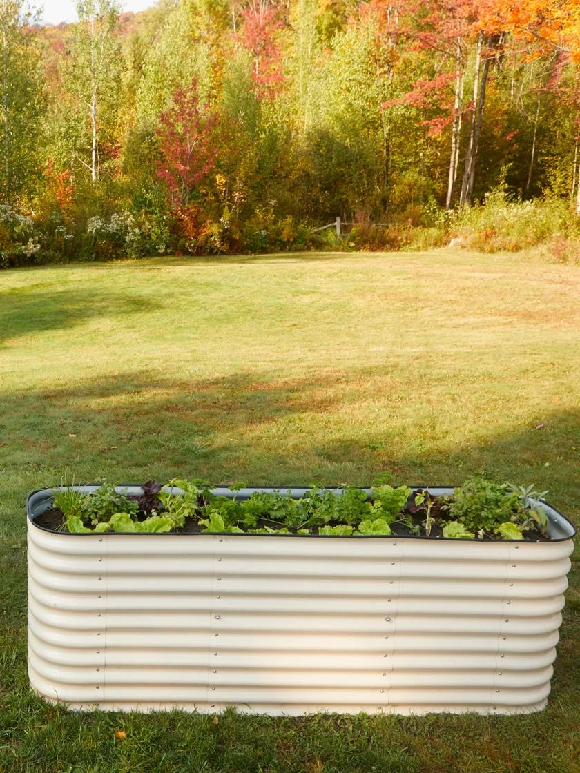 Birdies™ Modular Metal Raised Bed, Tall 3 Birdies™ Modular Metal Raised Bed, Tall - Image 3