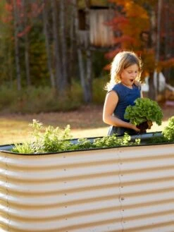 Birdies™ Modular Metal Raised Bed, Tall 10 Birdies™ Modular Metal Raised Bed, Tall -Plant Sale Shop 8610174 5015 tif