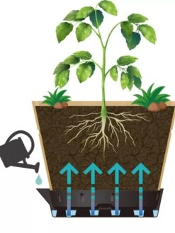 VegTrug® Build-a-Barrel Wooden Planter With Self-Watering Reservoir Tray, 18" -Plant Sale Shop 8610253 05V tif