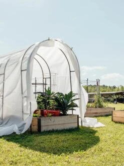 Maxi Garden Quilt -Plant Sale Shop 8610373 373 tif