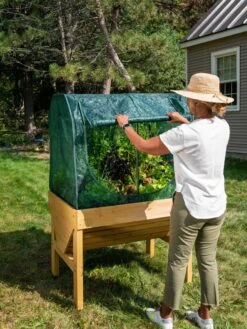 Compact VegTrug® Shade Cover -Plant Sale Shop 8610404 8577 tif