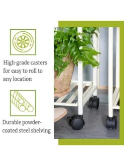 Oslo 4-Tier LED Grow Light Garden 14 Oslo 4-Tier LED Grow Light Garden -Plant Sale Shop 8610473 6
