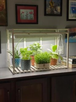 Oslo 1-Tier LED Grow Light Garden -Plant Sale Shop 8611002 01IN tif