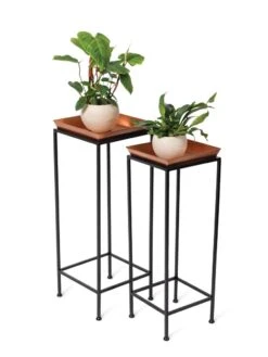 Square Nesting Plant Stands With Trays, Set Of 2 9 Square Nesting Plant Stands With Trays, Set Of 2 -Plant Sale Shop 8611014 2872 tif