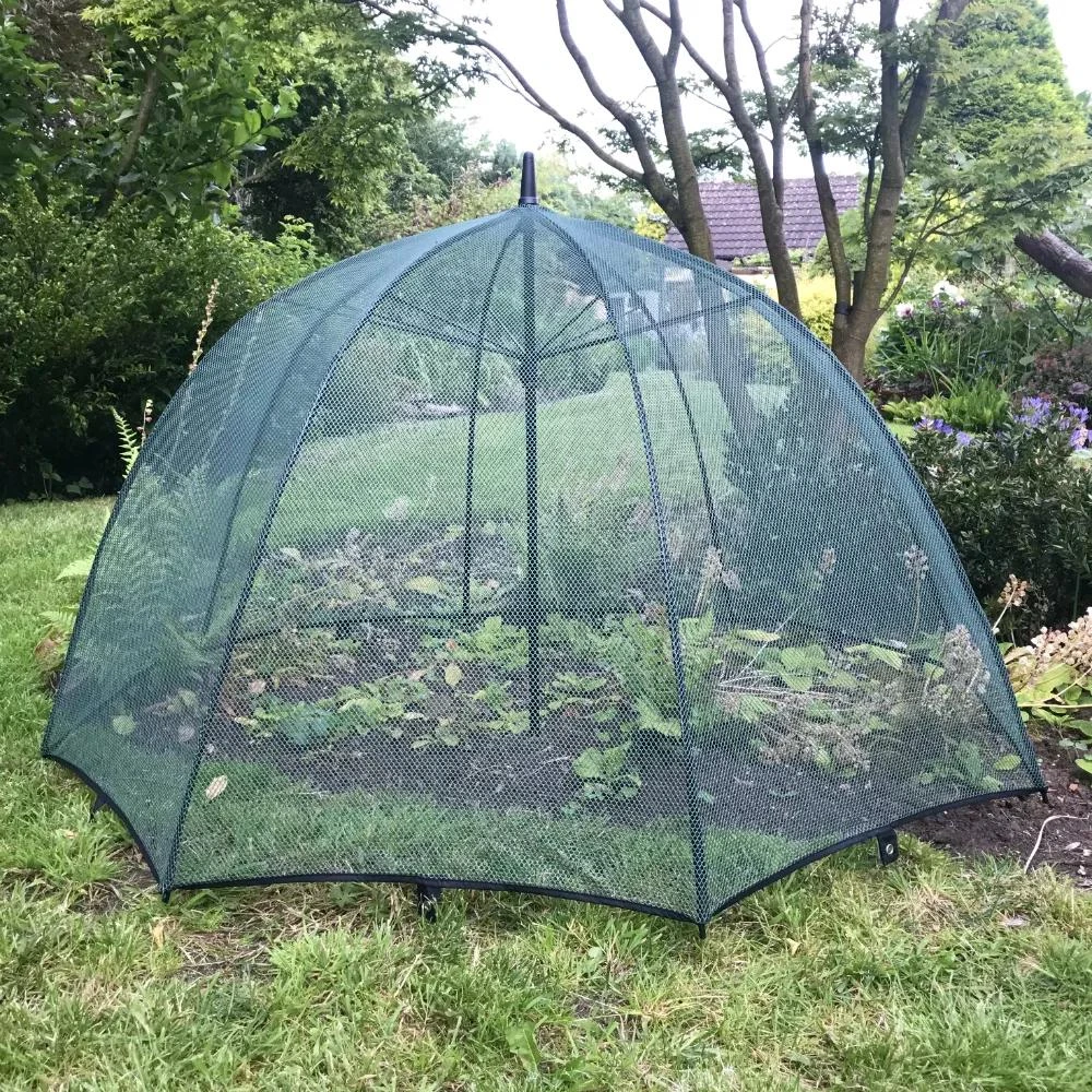 GardenSkill Pop N Crop Plant Umbrella 2 GardenSkill Pop N Crop Plant Umbrella - Image 2