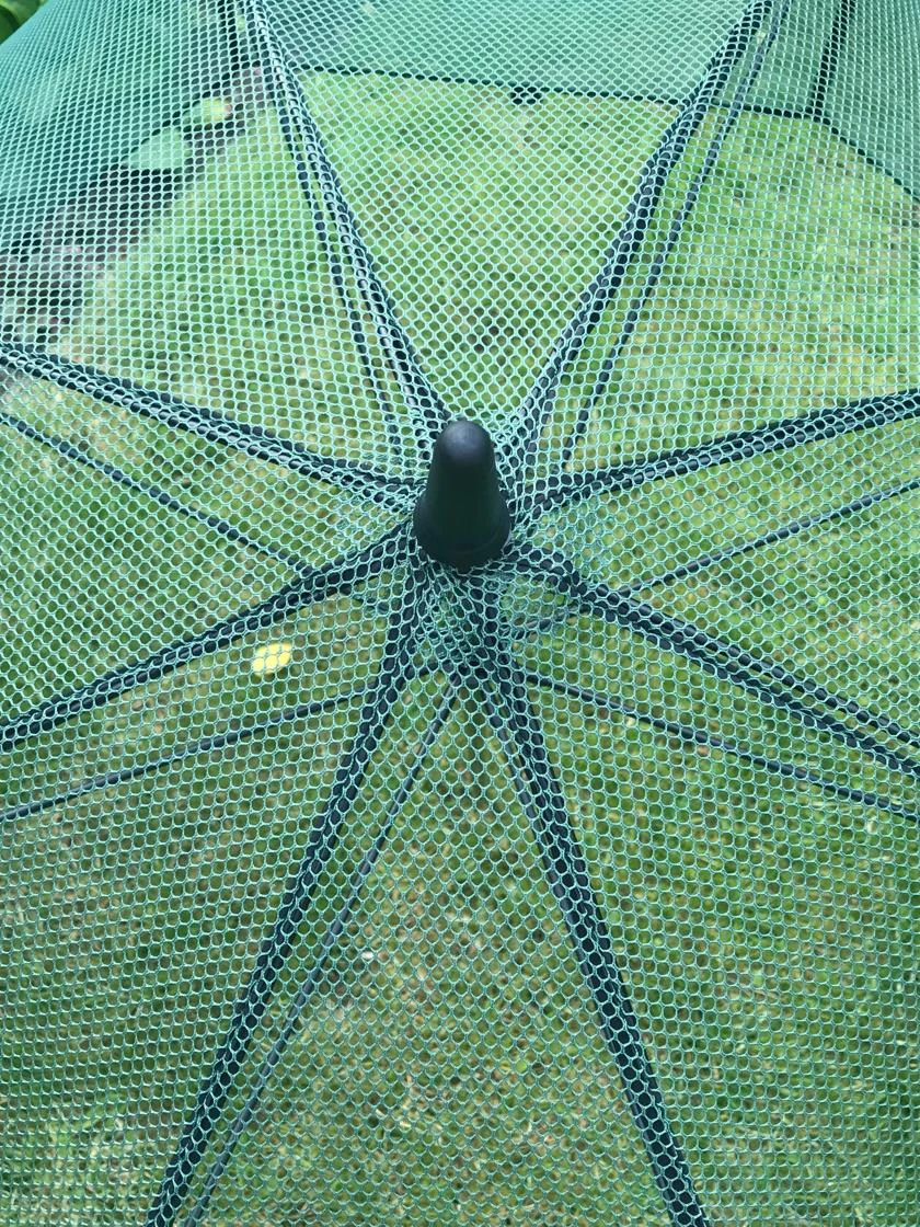 GardenSkill Pop N Crop Plant Umbrella 5 GardenSkill Pop N Crop Plant Umbrella - Image 5