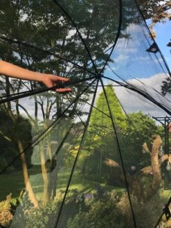 GardenSkill Pop N Crop Plant Umbrella 12 GardenSkill Pop N Crop Plant Umbrella -Plant Sale Shop 8611105 09V tif