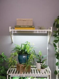 New Products -Plant Sale Shop 8611516 8400 tif