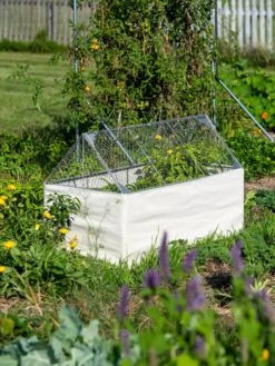 Crop Coop Covers Set -Plant Sale Shop 8611698 005 tif