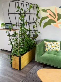 Self-Watering Partition Planter -Plant Sale Shop 8611952 001 tif