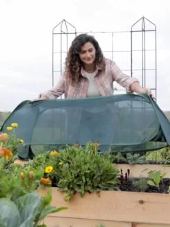 Insect And Pest Net Row Protector -Plant Sale Shop 8611985 8390 tif