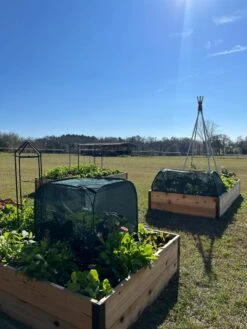 Pest Control Pop-Ups -Plant Sale Shop 8611989 05 tif