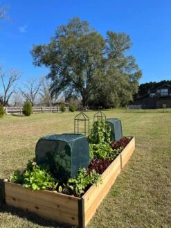 Pest Control Pop-Ups -Plant Sale Shop 8611989 08 tif