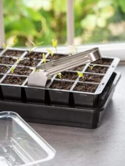 Seedling Transplant Tongs 5 Seedling Transplant Tongs -Plant Sale Shop 8612047 020 tif