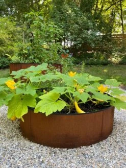 Birdies™ Corten Steel Round Raised Beds -Plant Sale Shop 8612422 0484 tif