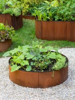 Birdies™ Corten Steel Round Raised Beds -Plant Sale Shop 8612422 1527 tif
