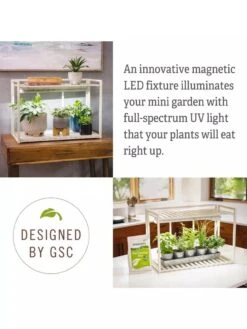 Tabletop Grow Kit -Plant Sale Shop 8612507 4