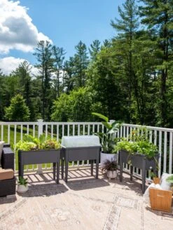 Self-Watering Standing Salad Planter With Cloche -Plant Sale Shop 8612702 2002 tif