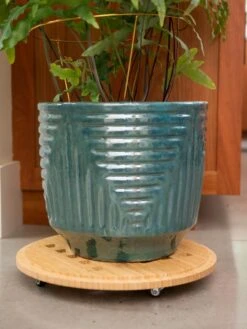 Bamboo Plant Caddy Round, 15.75" 7 Bamboo Plant Caddy Round, 15.75" -Plant Sale Shop 8612716 2270 tif