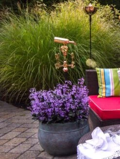 Sonoma Hose Pot -Plant Sale Shop 8612733 02V tif