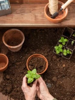 Transplant Mix, 20 Qts -Plant Sale Shop 8612784 6292