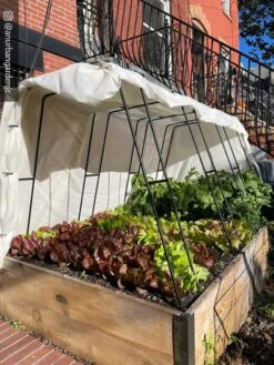 Cotton All Purpose Garden Cover -Plant Sale Shop 8612816 01CUST