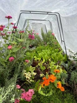 All-Purpose Garden Fabric 12 All-Purpose Garden Fabric -Plant Sale Shop 8612816 01TEST