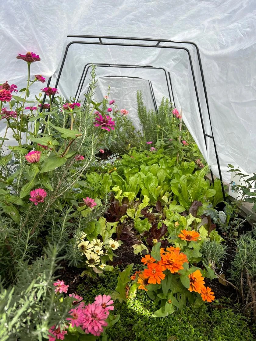 All-Purpose Garden Fabric 6 All-Purpose Garden Fabric - Image 6