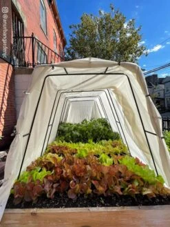 Cotton All Purpose Garden Cover -Plant Sale Shop 8612816 03CUST