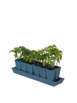 Gardener's Best® XL Seed Starting Kit -Plant Sale Shop 8613066 0029