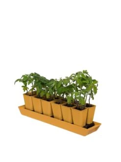 Gardener's Best® XL Seed Starting Kit -Plant Sale Shop 8613066 1029