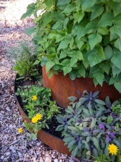 Birdies™ Corten Steel Tiered Round Raised Bed Kit, Tall -Plant Sale Shop 8613245 0195
