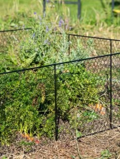 Chicken Wire Critter Fence, 16" High 14 Chicken Wire Critter Fence, 16" High -Plant Sale Shop 8613249 0352