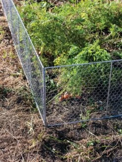 Chicken Wire Critter Fence, 16" High 15 Chicken Wire Critter Fence, 16" High -Plant Sale Shop 8613249 0358
