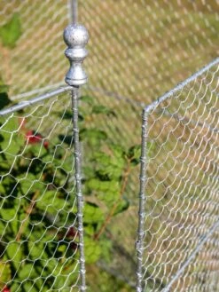Tall Chicken Wire Critter Fence With Gate 18 Tall Chicken Wire Critter Fence With Gate -Plant Sale Shop 8613260 0083