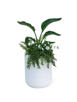Arden Round Planter -Plant Sale Shop 8613267 0115