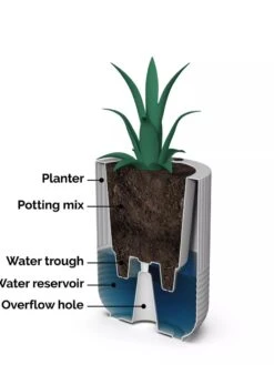 Arden Round Planter -Plant Sale Shop 8613267 06V tif