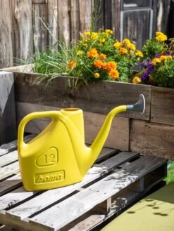 Bama® Watering Can 12 Bama® Watering Can -Plant Sale Shop 8613299 0114