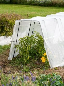 All-Purpose Garden Fabric 11 All-Purpose Garden Fabric -Plant Sale Shop 8613313 0133