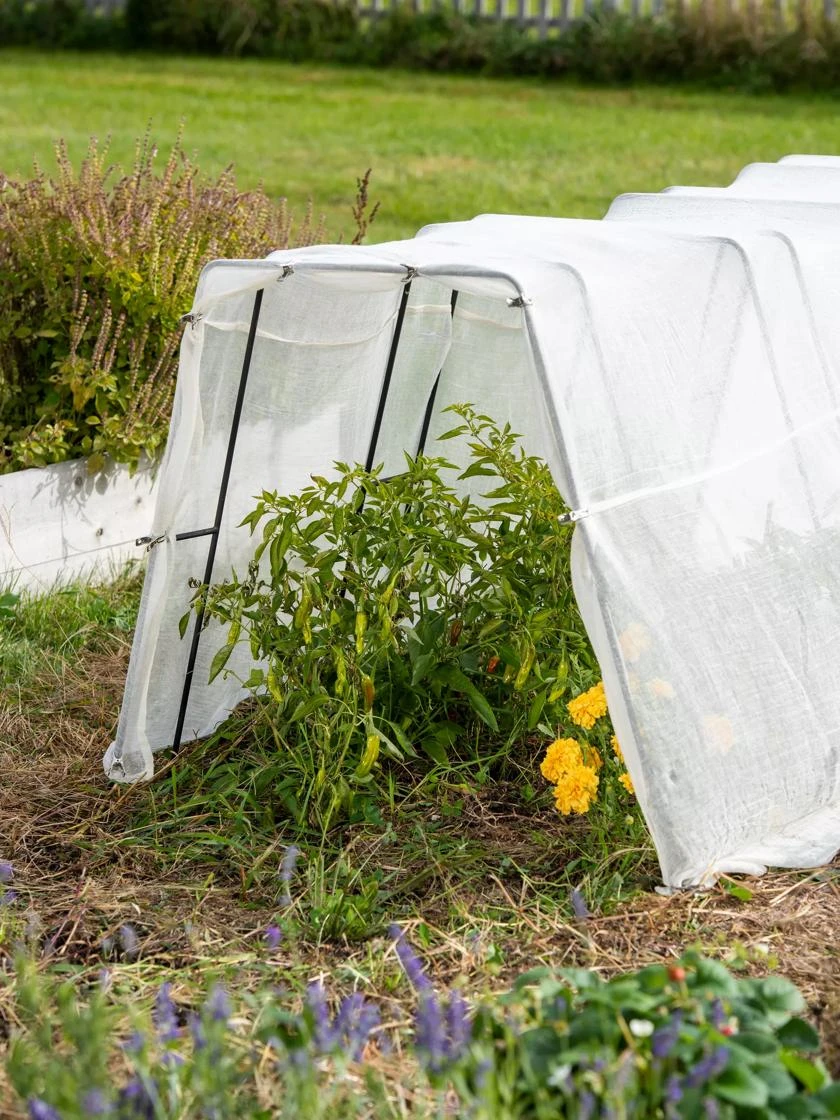 All-Purpose Garden Fabric 5 All-Purpose Garden Fabric - Image 5