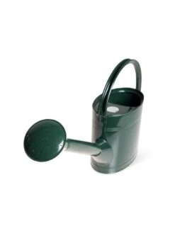Long Reach Watering Can, Medium -Plant Sale Shop 8613345 5833