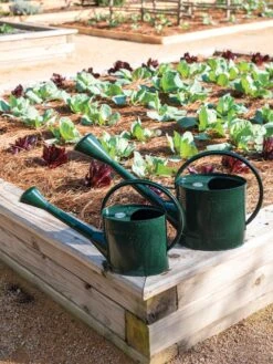 Long Reach Watering Can, Large 10 Long Reach Watering Can, Large -Plant Sale Shop 8613346 0148 1